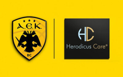 Sponsorship cooperation with the sports team AEK BC